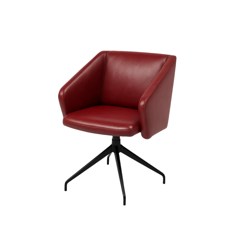 Scaun piele ROSIE | model STARLI