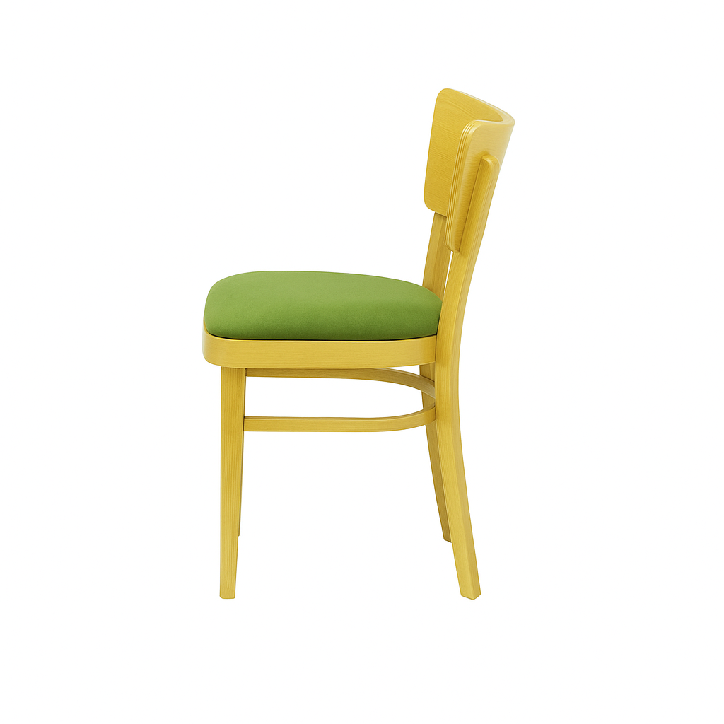 Scaun catifea BEJ | model DESA