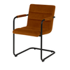 Scaun catifea BEJ | model FLOR